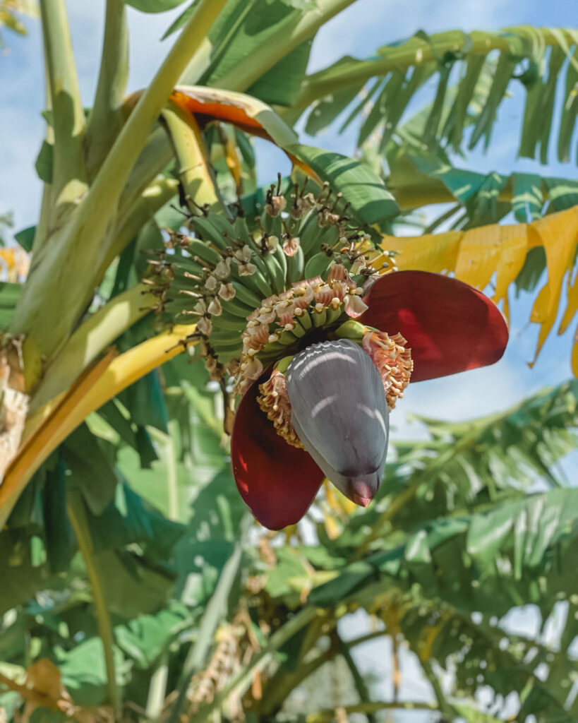 image_izu-shirahama-base_-083