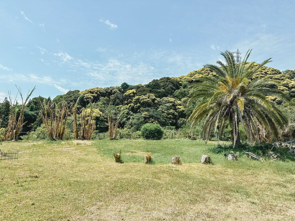 image_izu-shirahama-base_-189