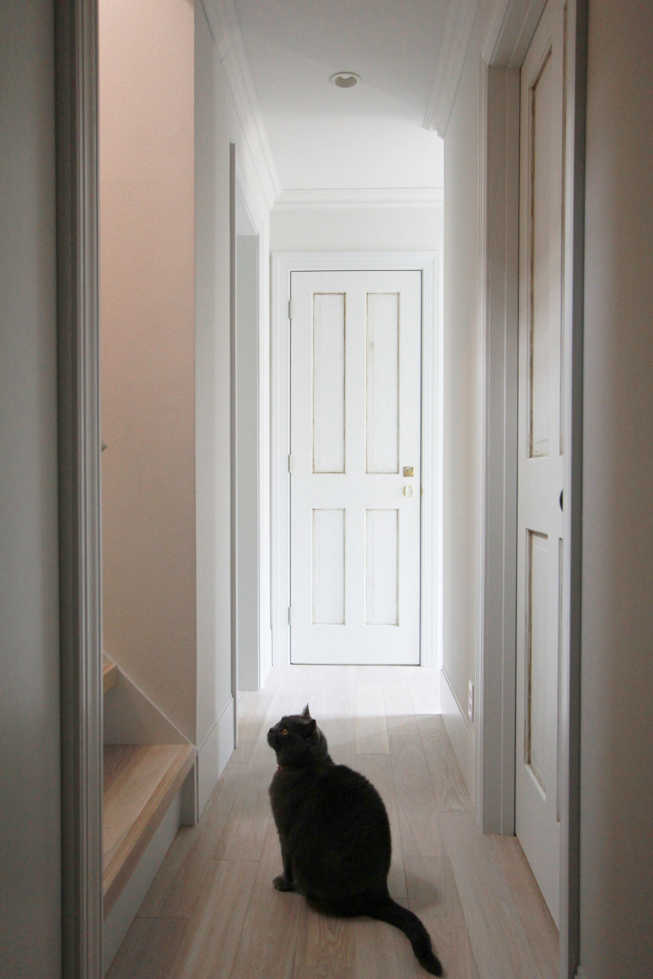 ビンテージ調の廊下扉と飼い猫